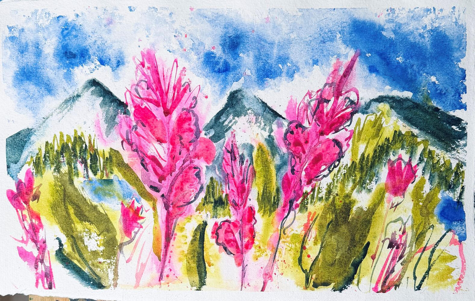 among the fireweed watercolor Fireweed patches along the lakeshores became my favorite subject.