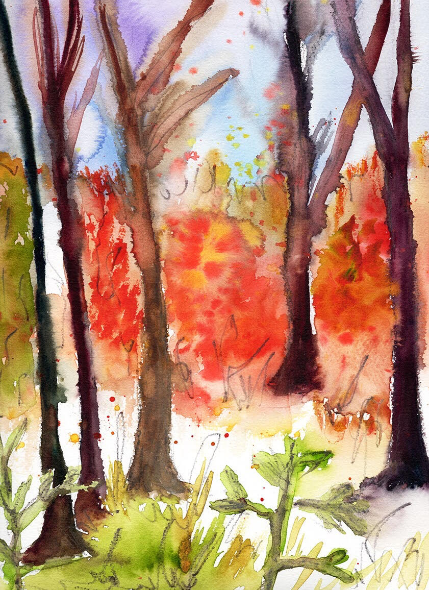 A session in the rain, Franklin, NC watercolor and graphite on cold press cotton Painting in the unsheltered rain - the result is a beautiful bleeding mess. Working paper that won’t dry is certainly an experience.