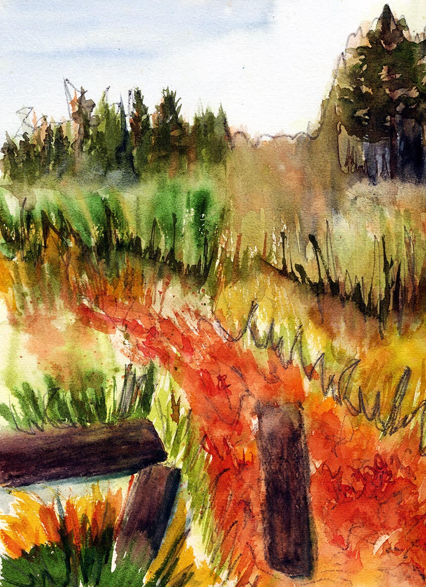 Logs on the Bartram Trail watercolor and graphite on cold press cotton A winding, leaf covered trail with fallen trees blocking the path didn’t stop us.