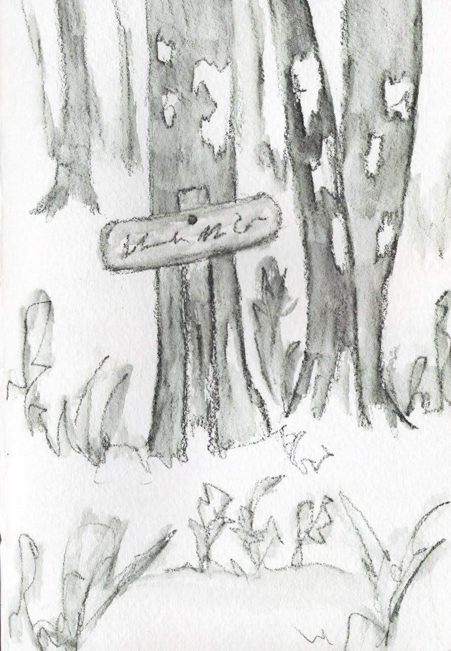 Winding Stair Gap, Appalachian Trail graphite on fine grain A stormy day on the Appalachian Trail and a quick sketch of the signpost marking the mountain gap.